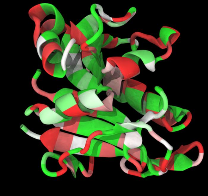 Do cleaved genes code for cleaved proteins?